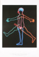 Bruce Nauman Posters