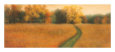 David Wander Posters