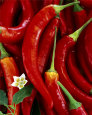Red Peppers Art Print by Michael Rosenfeld