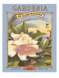 Gardenia Lámina giclée por Kerne Erickson