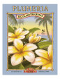 Plumeria reproduction procédé giclée par Kerne Erickson