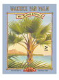 Wakuku Fan Palm Lámina giclée por Kerne Erickson