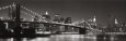 Puente de Brooklyn y vista de Manhattan