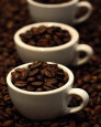 Espresso Beans Lámina por Sara Deluca