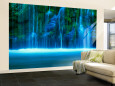 Waterfalls (Wall Murals) Posters