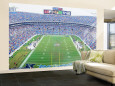 Bank of America Stadium Poster