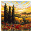 Tuscany in Bloom IV Lámina giclée