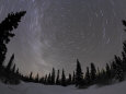 Star Trails and Milky Way Photographie par Stocktrek Images