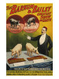Circus Advertisements Pósteres