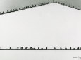 Palomas
