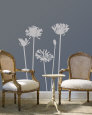 Grey Agapanthus