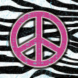 Zebra Peace Art Print by Louise Carey