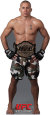 UFC - Georges St Pierre Stand Up