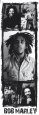 Bob Marley Póster para las puertas