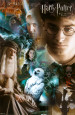 Harry Potter (Movies) Posters