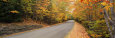 Trees Along a Road, Park Loop Road, Acadia National Park, Maine Lámina fotográfica por Panoramic Images