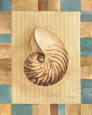 Concha de mar III Lámina por Albena Hristova