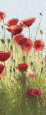 Mountain Poppies I Art Print by Shirley Novak