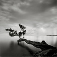 Featured Canvas Galleries Posters