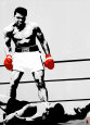 Muhammad Ali