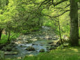 Landscapes (Robert Harding Imagery) Posters