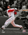 Dustin Pedroia