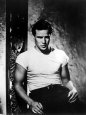 Streetcar Named Desire (1951) Posters
