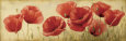 Poppies Grace II Art Print by Igor Levashov