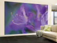 Azalia Wall Mural – Large by Jon Arnold