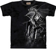 Men's Fantasy T-Shirts Pósteres