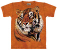 Puissance et grâce T-Shirt