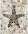 Pearlized Starfish Lámina por Regina-Andrew Design