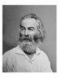 Walt Whitman Posters