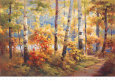 Autumn Walk I Reproduction d'art par Stephen Douglas