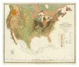 Geological Map of the United States, c.1856