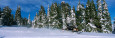 Snow Mobiling Posters