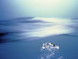 Water Bubbles Rising to Surface of Water Toward Bright Light Lámina fotográfica