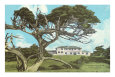 Cypress Point Golf Club, Pebble Beach, California