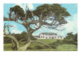 Cypress Point Golf Club, Pebble Beach, California Lámina giclée