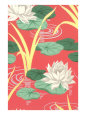 Lily Pads Decorative Arts Giclee Print