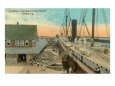 Mallory Line Docks, Tampa, Florida Gicleetryck