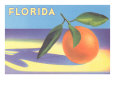 Florida Orange Lámina giclée