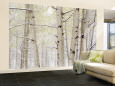 Photography Wall Murals Pósteres