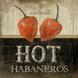 Hot Habaneros Art Print by Jennifer Pugh