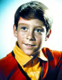 Bill Mumy Posters