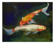 Feng Shui Koi Fish