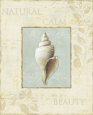 Soothing Words Shells I Art Print by Lisa Audit