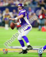 Brett Favre 2009