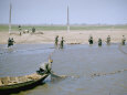 Sweep Net Fishing for Sturgeon at Tanya in Volga River Delta Nr. Astrakhan, Russia