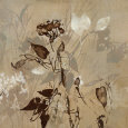 Graphic Beauty I Art Print by Jennifer Hollack